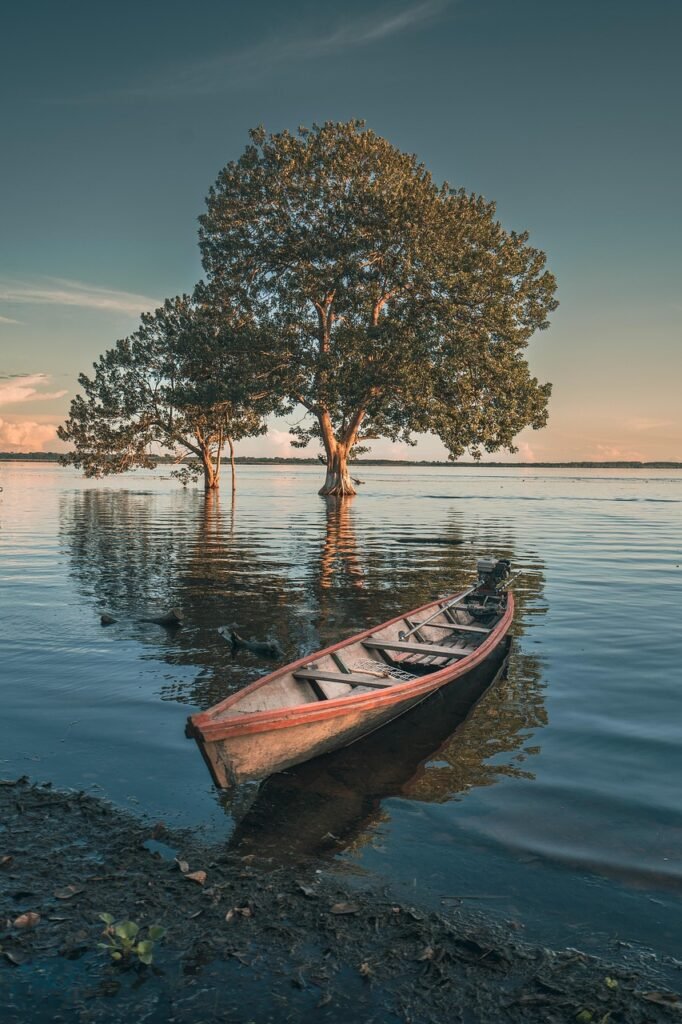 lake, boat, sunset, amazon, nature, trees, canoe